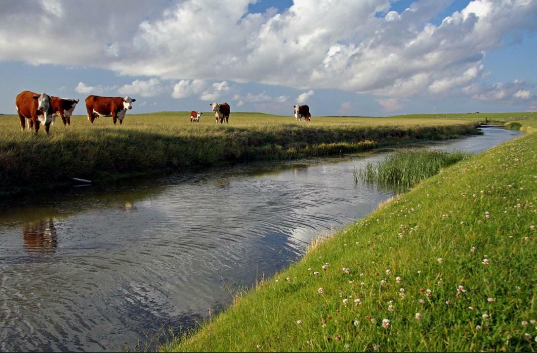"Wattengebiet Entdeckungsreise" Tzummarum Extérieur photo